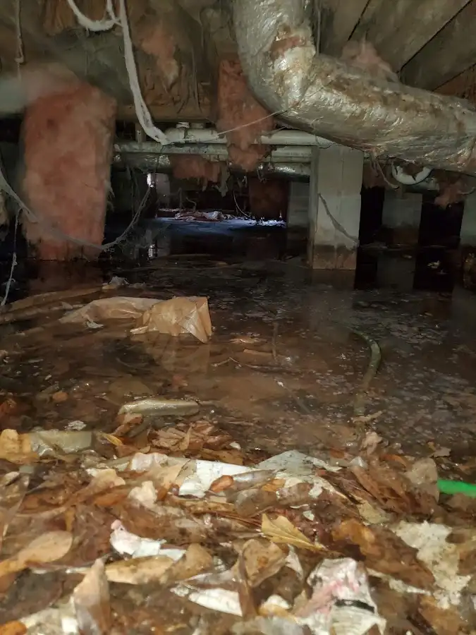 Crawl space flood assessment for Commercial Water Damage Restoration in North Decatur